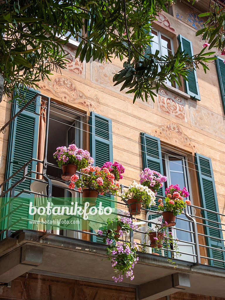 414078 - Balcony with flowers, Lugano, Switzerland