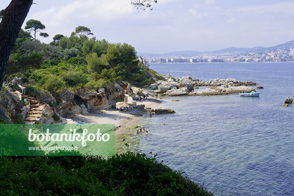 569106 - Bay with beach, Île Sainte-Marguerite, France