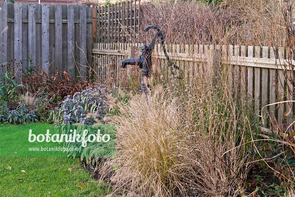 576031 - Beam pump in an autumnal perennial garden