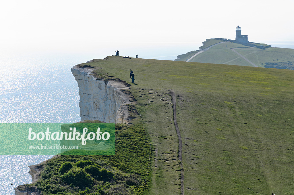 533367 - Belle Tout Lighthouse and chalk cliff, Beachy Head, South Downs National Park, Great Britain