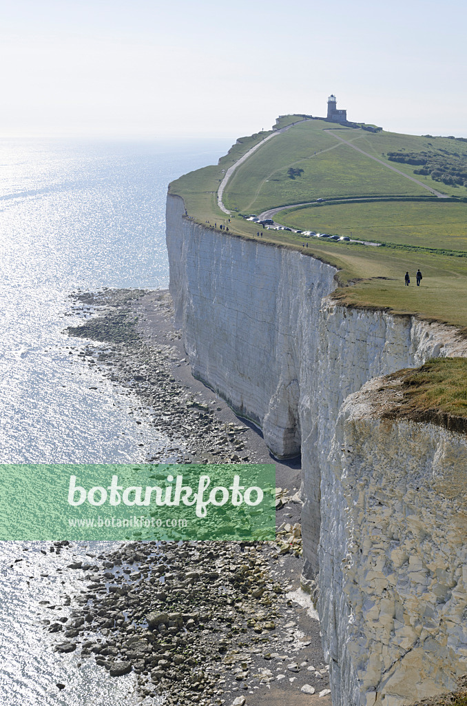 533368 - Belle Tout Lighthouse and chalk cliff, Beachy Head, South Downs National Park, Great Britain