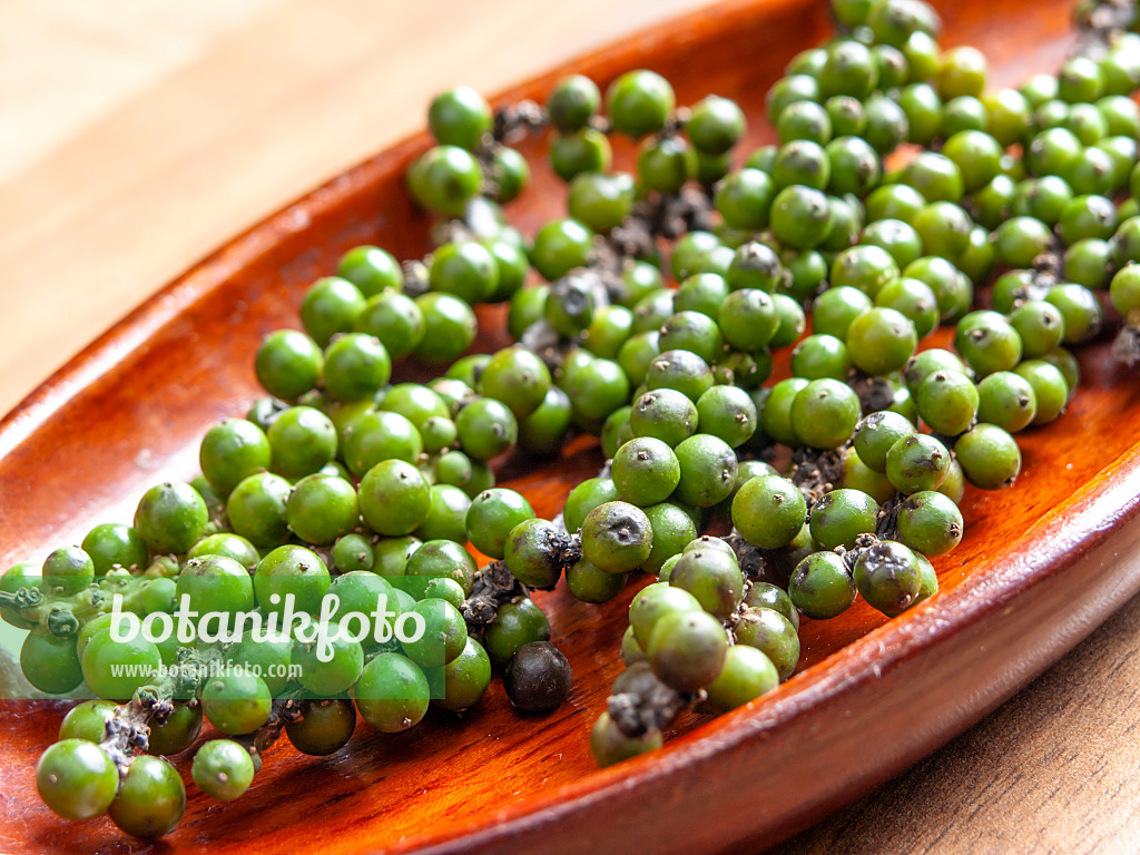 435196 - Black pepper (Piper nigrum) 435196 - Black pepper (Piper nigrum)