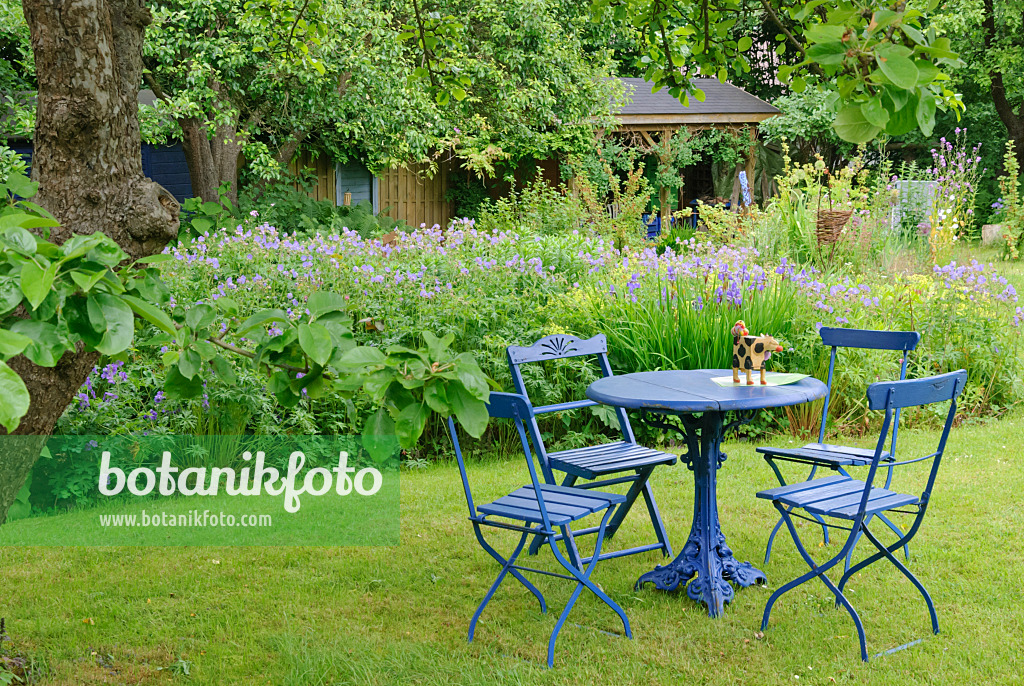 518037 - Blue garden chairs and tables in a perennial garden with Siberian iris (Iris sibirica) and cranesbills (Geranium)