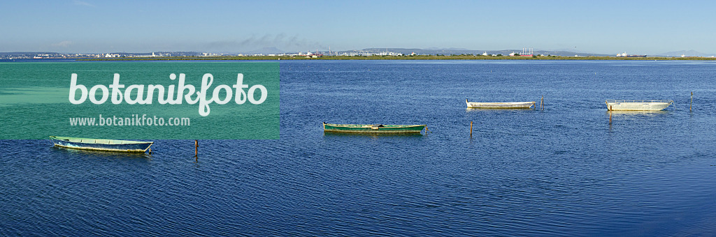 557140 - Boats in the Mediterranean Sea, Camargue, France