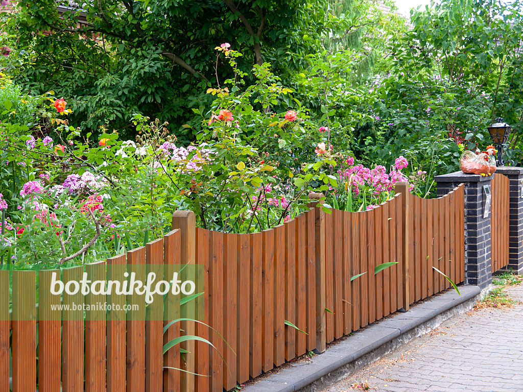 474517 - Brown wooden slatted fence with bows in front of a flowering perennial garden