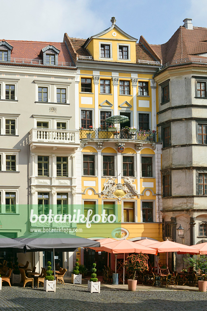 559050 - Buildings at the market place, Görlitz, Germany