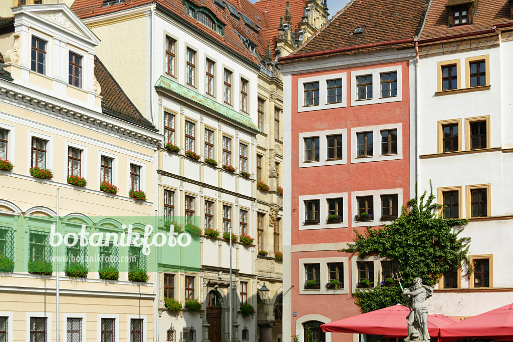 559052 - Buildings at the market place, Görlitz, Germany