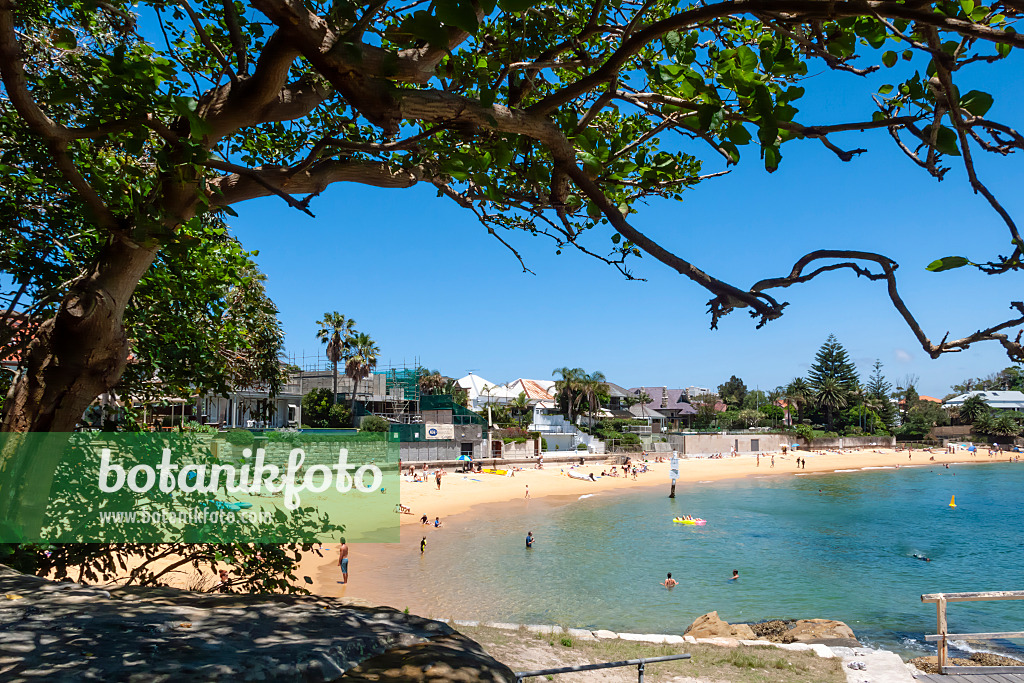 454168 - Camp Cove, Sydney, Australia