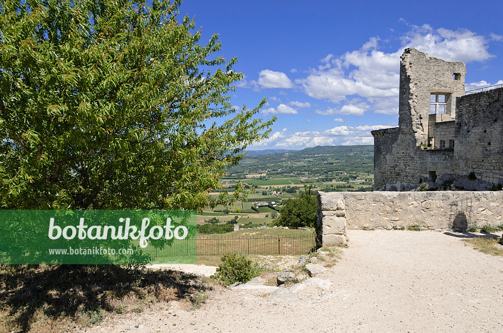 557155 - Castle ruin, Lacoste, Provence, France