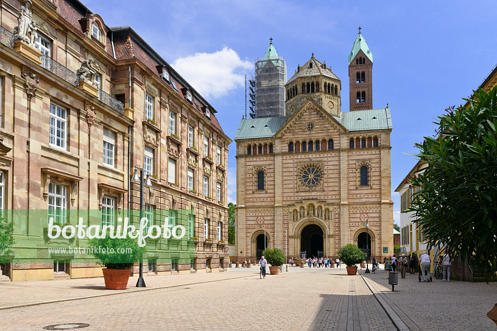 557068 - Cathedral, Speyer, Germany