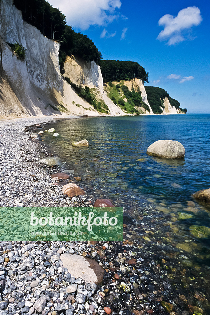 391074 - Chalk cliff, Jasmund National Park, Rügen, Germany