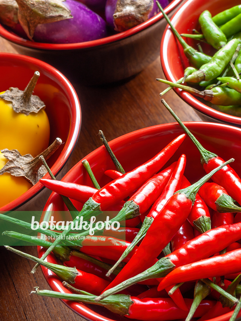 436038 - Chili pepper (Capsicum) and aubergine (Solanum melongena)