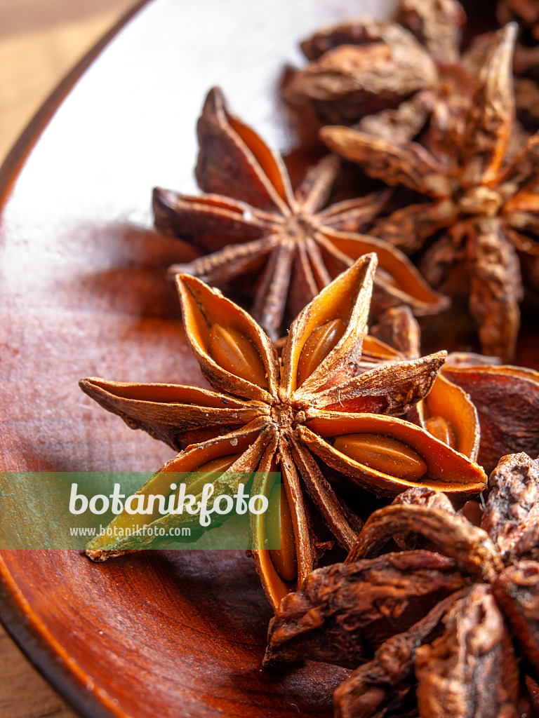 436001 - Chinese star anise (Illicium verum)