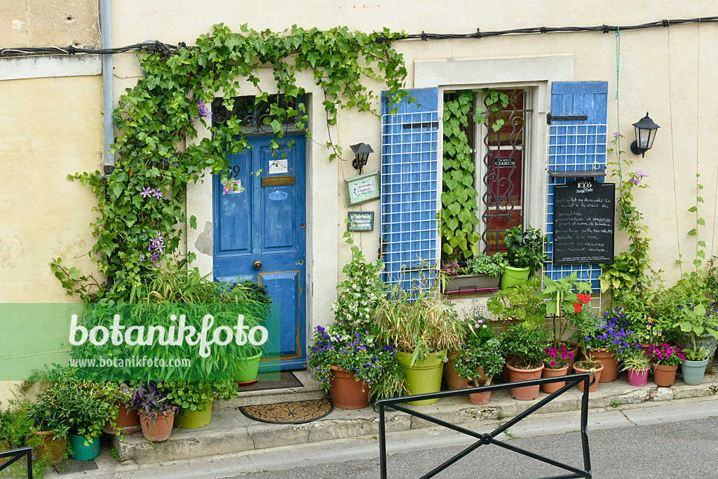 557114 - Container garden, Arles, France