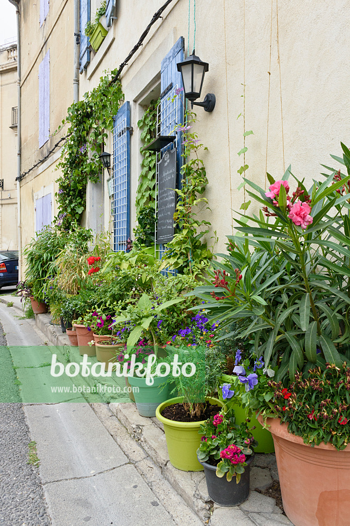 557118 - Container garden, Arles, France