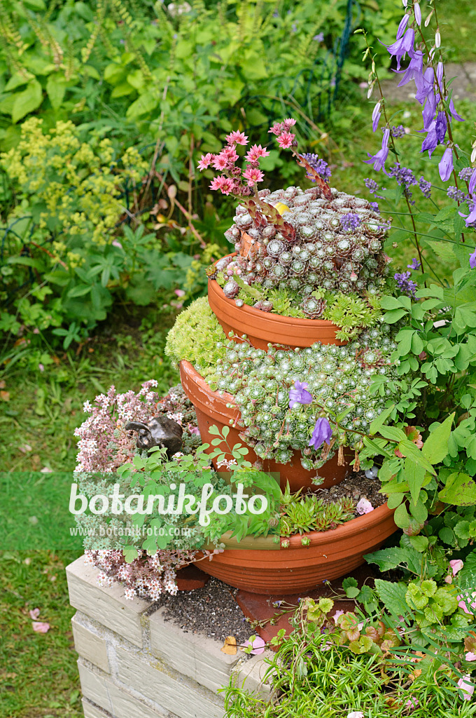 474114 - Container pyramid with succulents