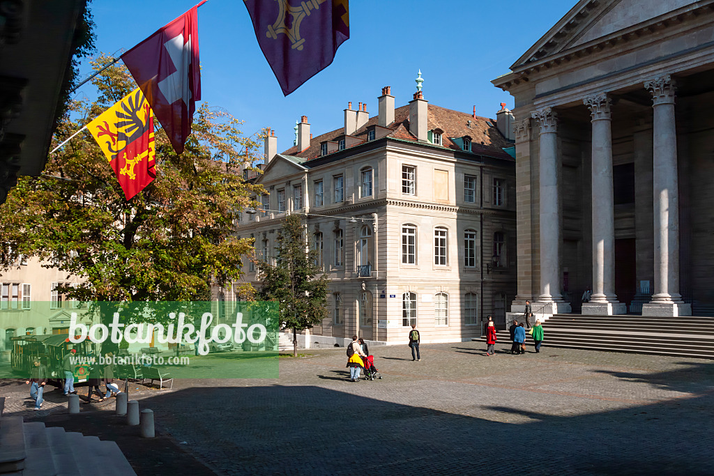 453162 - Cour de Saint-Pierre and Cathedral of Saint-Pierre, Geneva, Switzerland