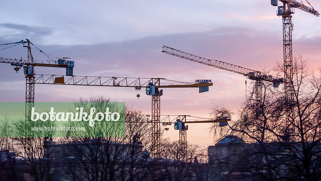 457029 - Cranes on Museum Island, Berlin, Germany