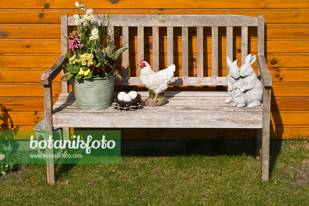 542008 - Daffodils (Narcissus), hyacinths (Hyacinthus), primroses (Primula) and violets (Viola) on a garden bench with spring decoration