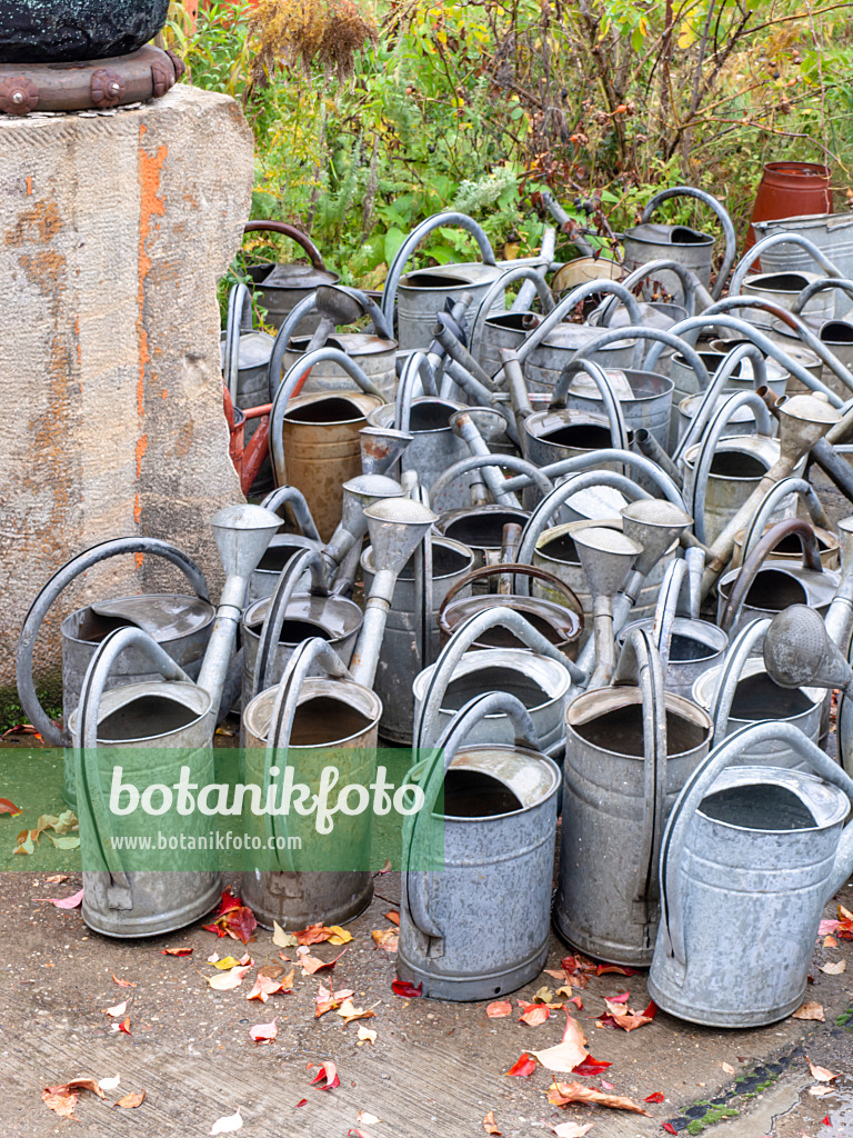 503006 - Different watering cans made of sheet metal in a cemetery