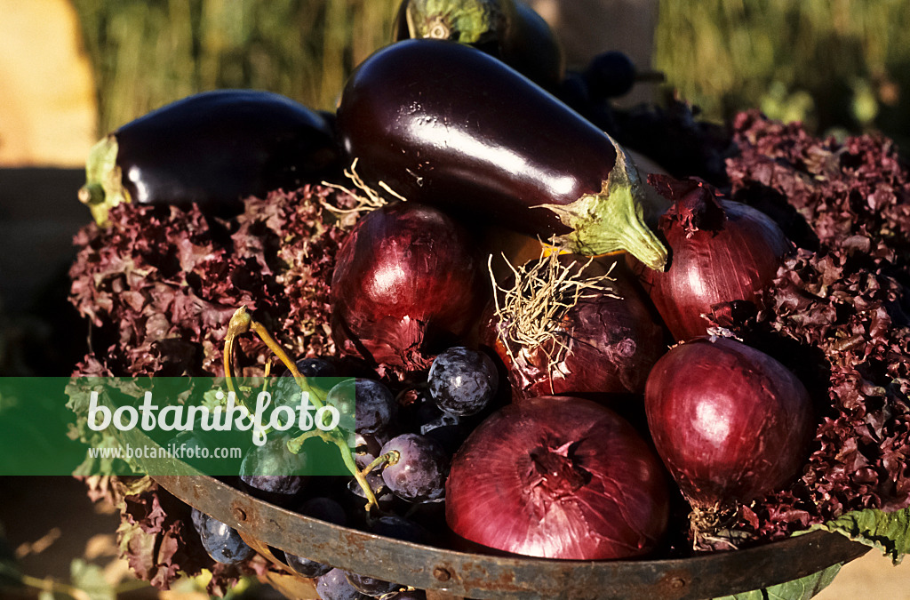 432017 - Dish with red onions and aubergines 432017 - Dish with red onions and aubergines