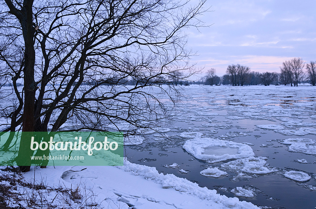 505049 - Drifting ice on Elbe River, Flusslandschaft Elbe Biosphere Reserve, Germany