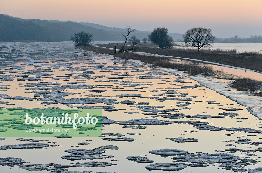 565012 - Drifting ice on Oder River, Lower Oder Valley National Park, Germany