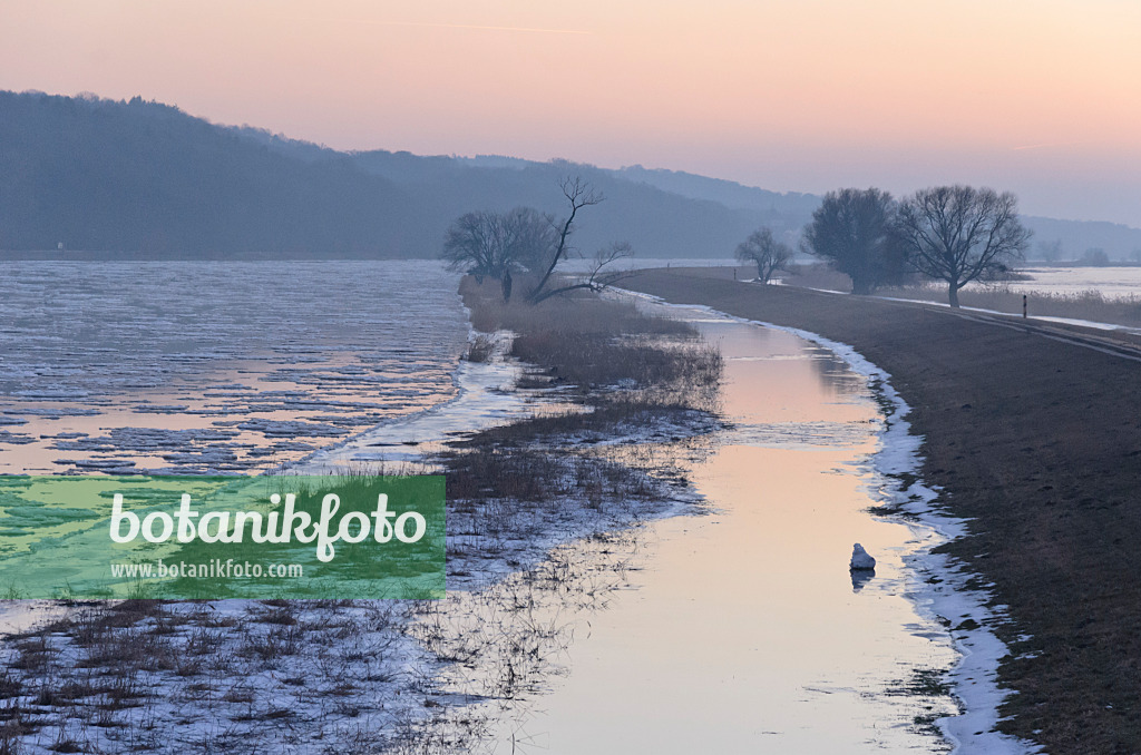 565014 - Drifting ice on Oder River, Lower Oder Valley National Park, Germany