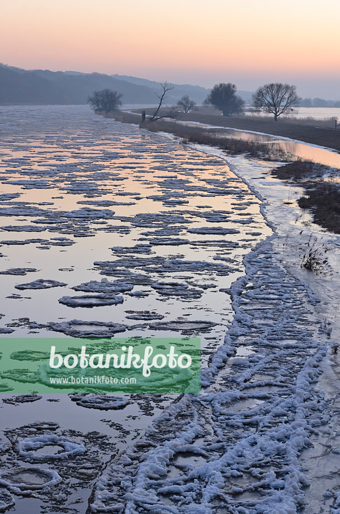 565015 - Drifting ice on Oder River, Lower Oder Valley National Park, Germany