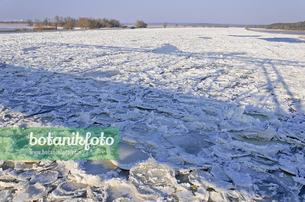 578011 - Drifting ice on Oder River, Lower Oder Valley National Park, Germany