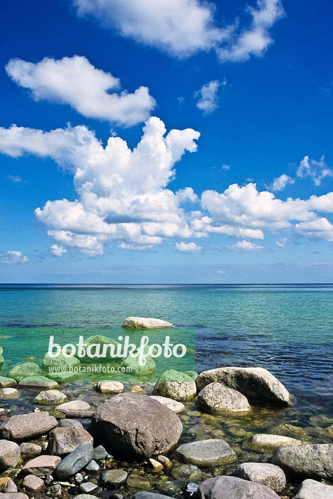 391084 - Erratic blocks at the Baltic Sea, Jasmund National Park, Rügen, Germany