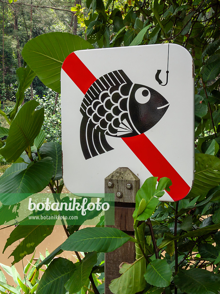 411072 - Fishing forbidden, Kent Ridge Park, Singapore