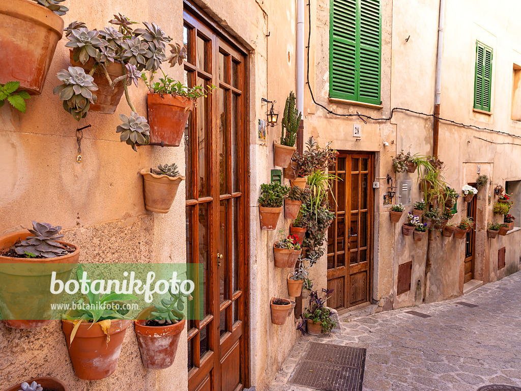 424048 - Flower pots at a house wall, Valldemossa, Majorca, Spain