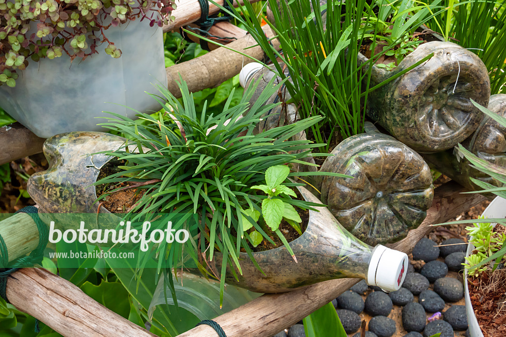 455411 - Flower pots made of used plastic bottles