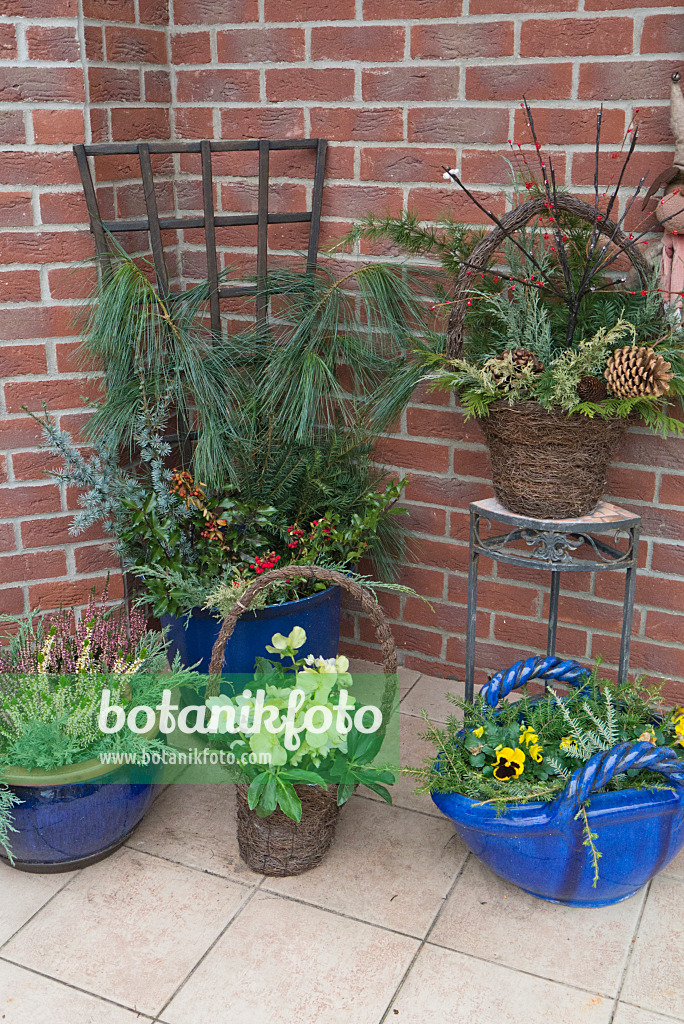 528004 - Flower tubs with winter decoration