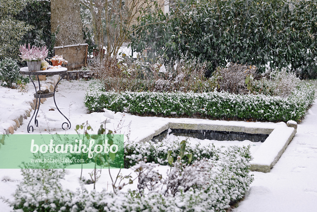 517015 - Formal garden with box hedges and garden pond in the snow