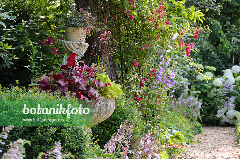 570087 - Fountain with alumroots (Heuchera) and plantain lilies (Hosta)