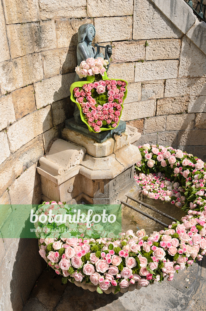 533015 - Fountain with wreath of roses