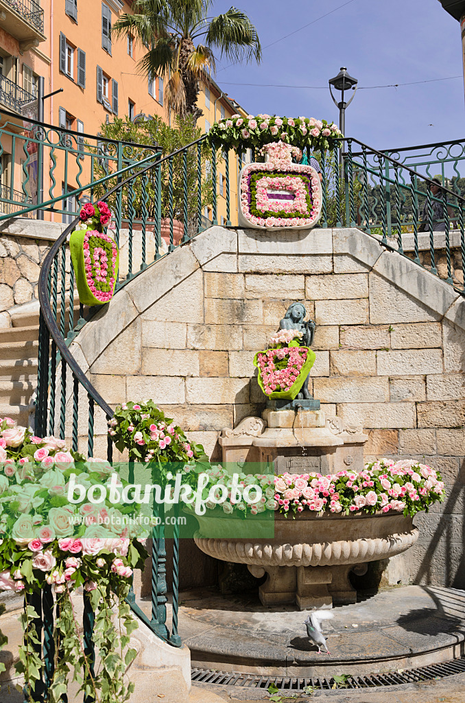 533017 - Fountain with wreathes of roses