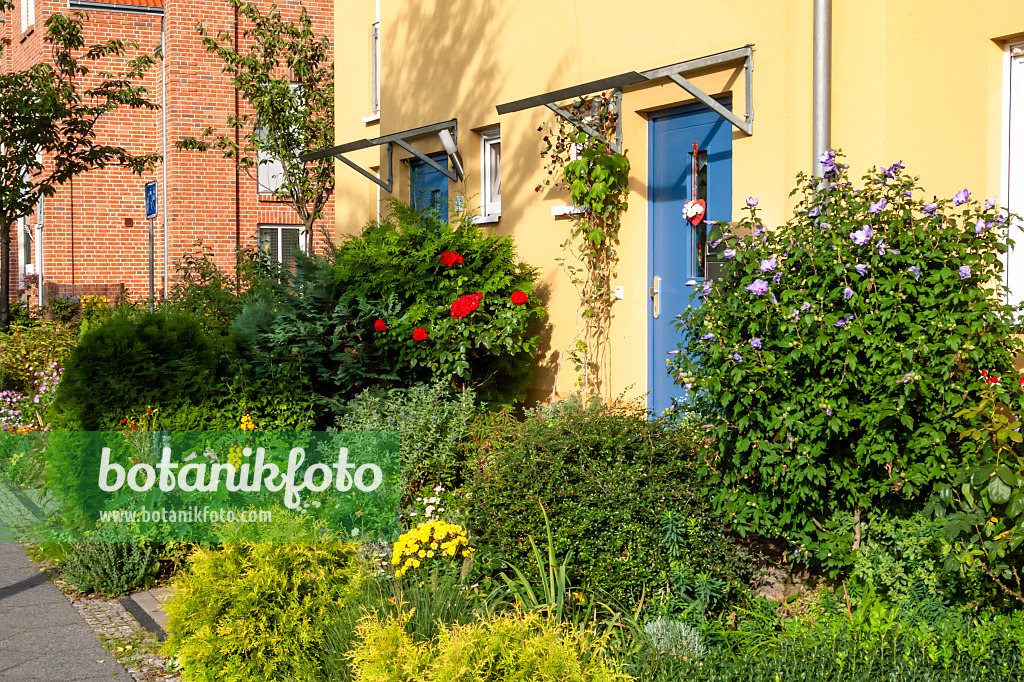 464042 - Front garden of a terraced housing estate