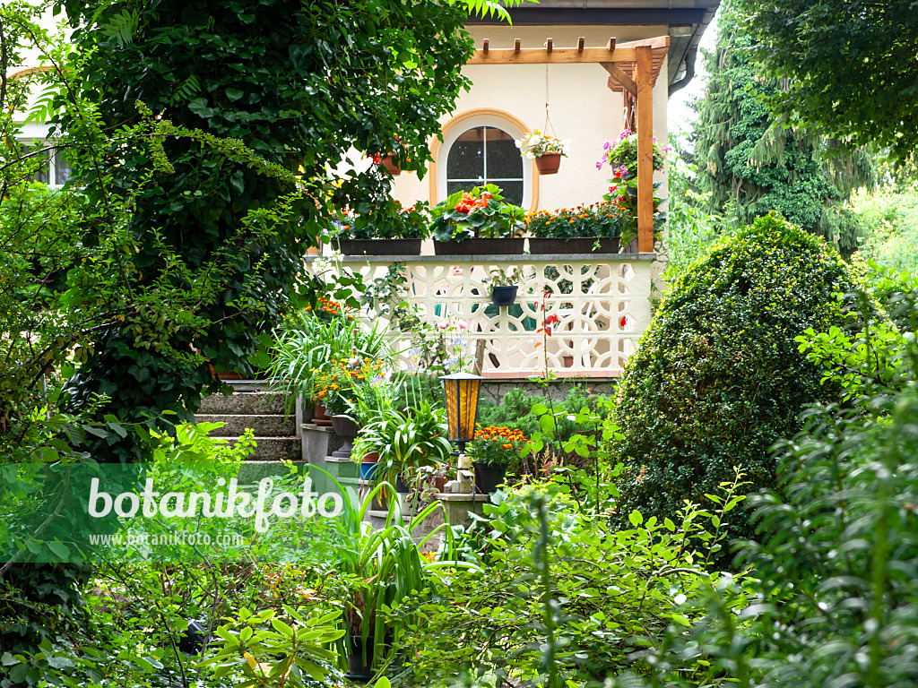 474391 - Front garden with dense planting and stone staircase leading to a veranda with pergola of a single-family house