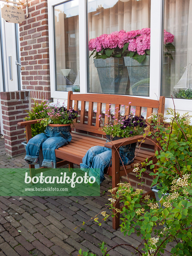 401008 - Front garden with hydrangeas and decorated flower pots