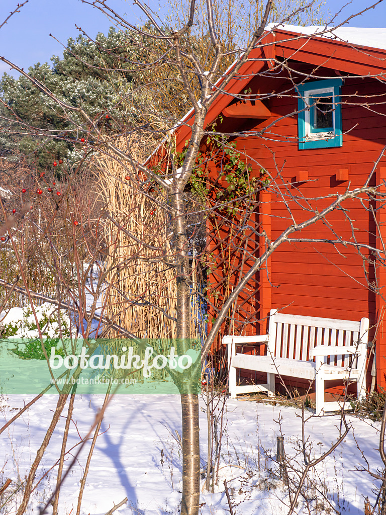 503008 - Garden house in a snowy natural garden