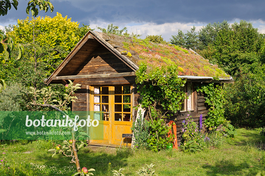 473294 - Garden house with green roof in a natural garden