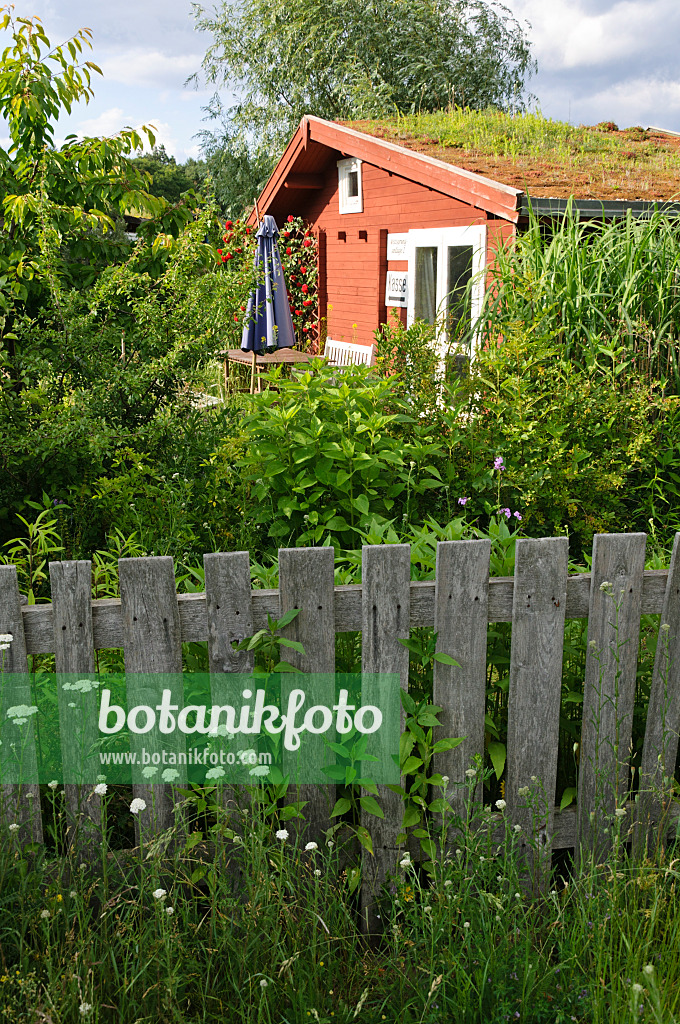 473297 - Garden house with green roof in a natural garden