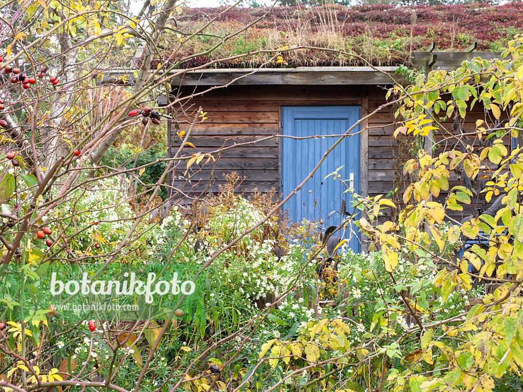 478054 - Garden house with green roof in a natural garden