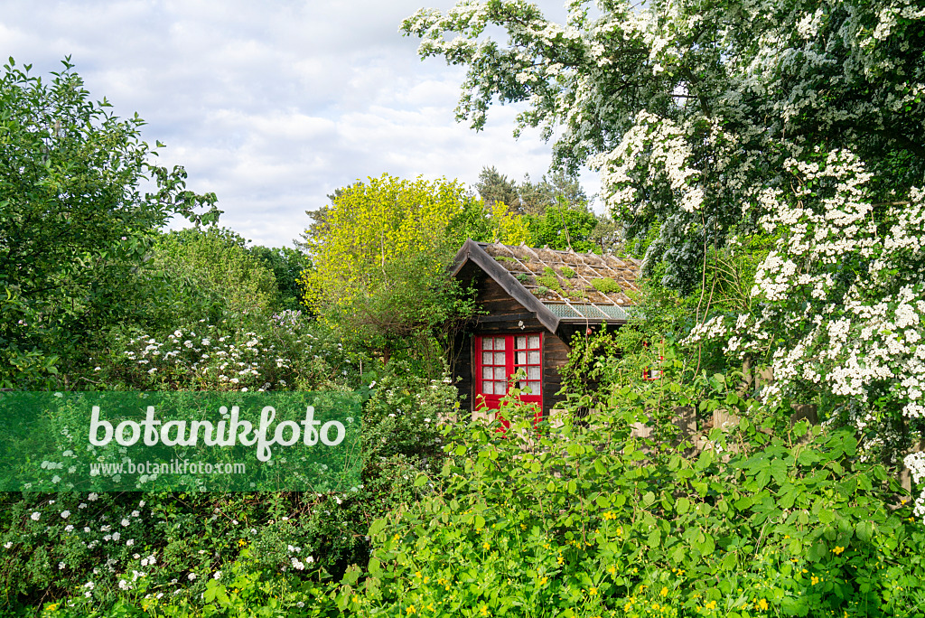 625078 - Garden house with green roof in a natural garden