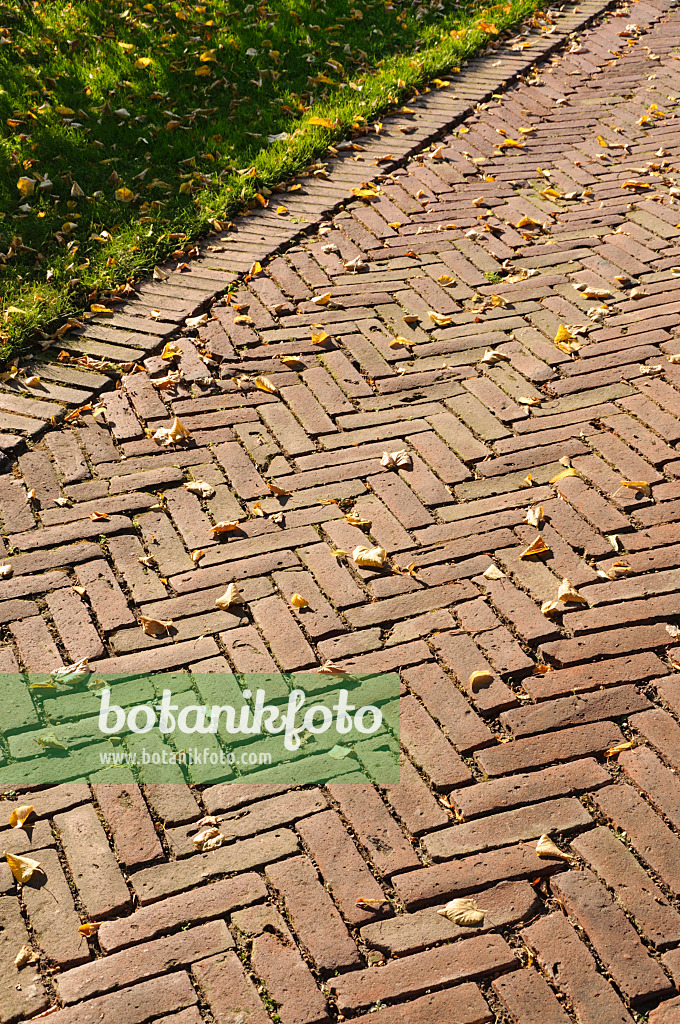 476195 - Garden path with bricks, laid in herringbone pattern