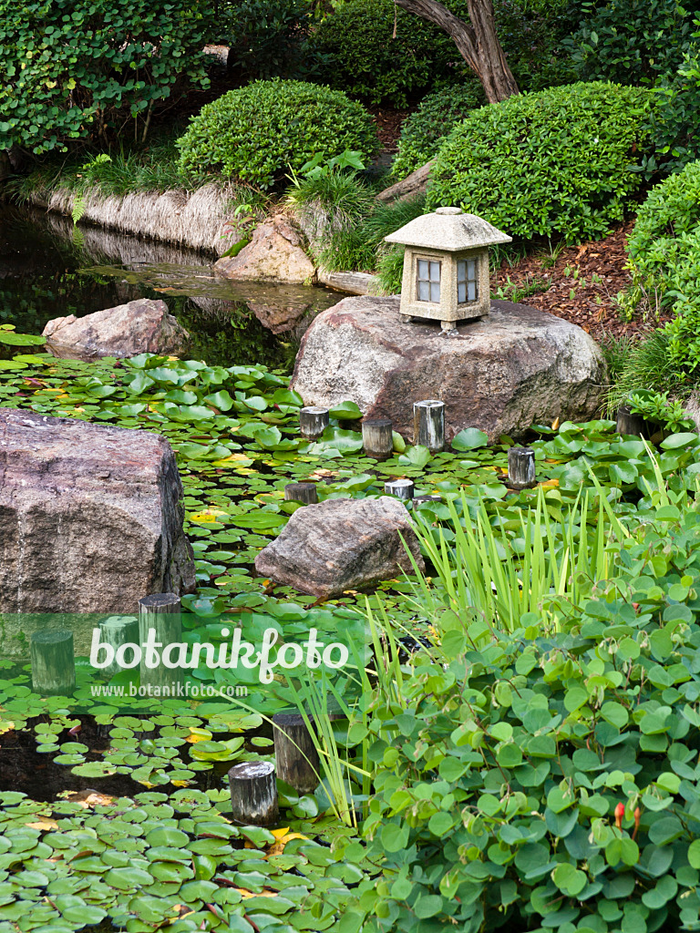 455073 - Garden pond with lantern