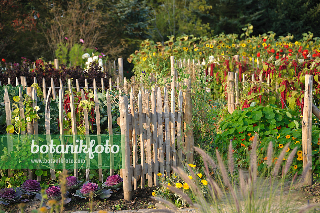 517107 - Gate in a farm garden